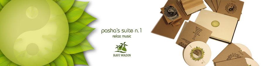 Pasha and the Do It Yourself Edition
