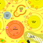 P4F- game/installation Finalist project at Food design 5, Turin world design Capital